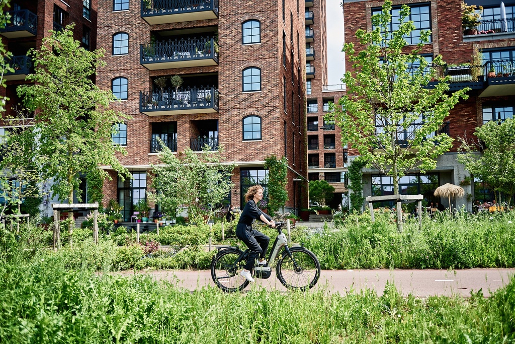Roetz Life E-bike