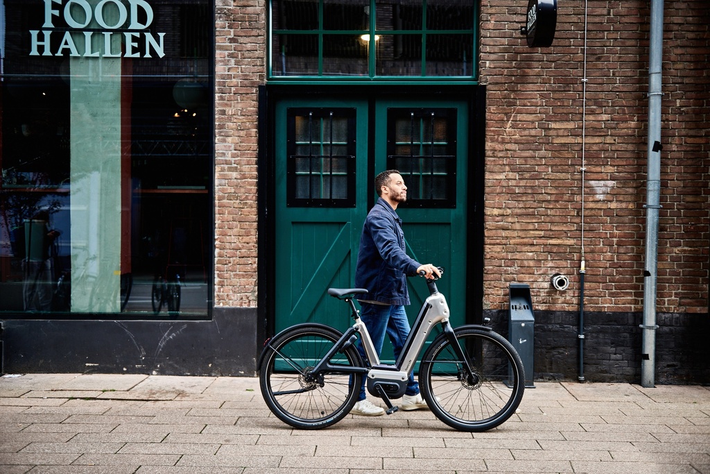 Roetz Life E-bike